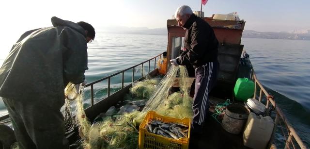 Van Gölü'nde inci kefali bereketi