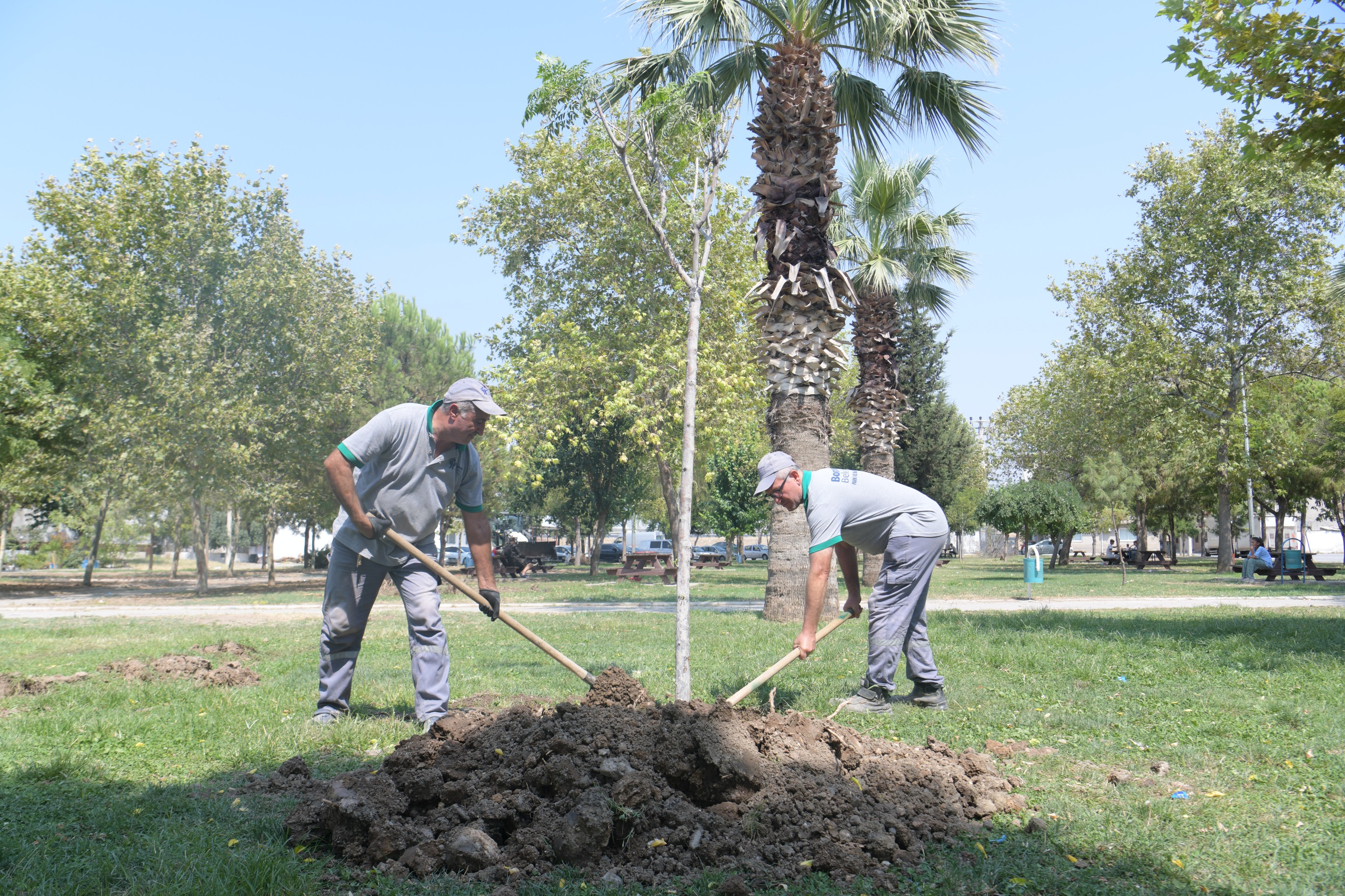 Bornova’da park yenileme hamlesi