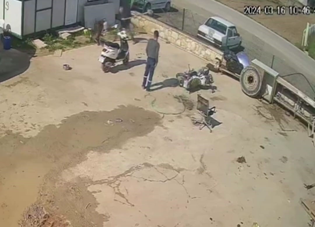 İzmir’de köpeğe hortumlu, sandalyeli ve kürekli saldırı kamerada