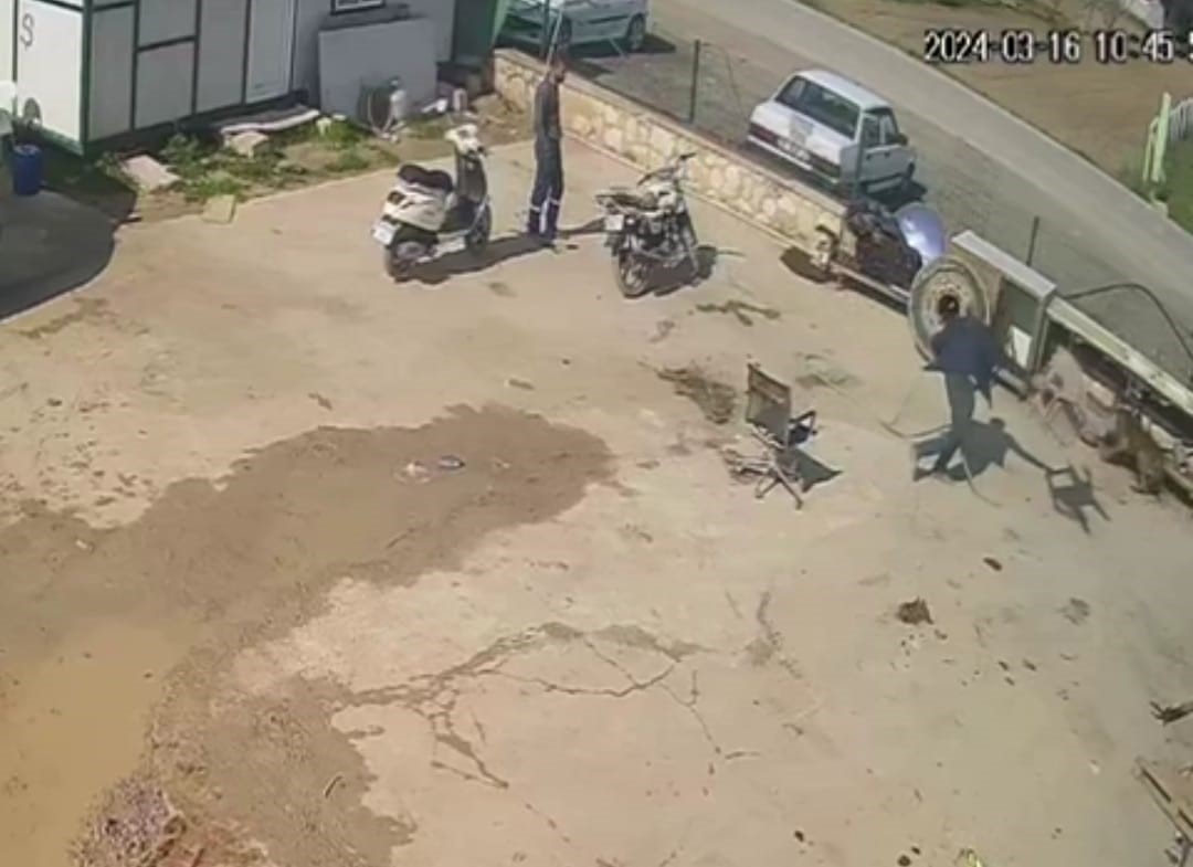 İzmir’de köpeğe hortumlu, sandalyeli ve kürekli saldırı kamerada