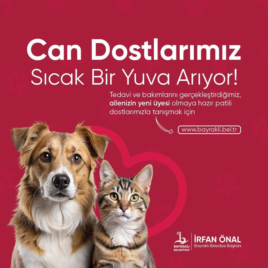 Başkan İrfan Önal: Biz yaşatmayı seçiyoruz