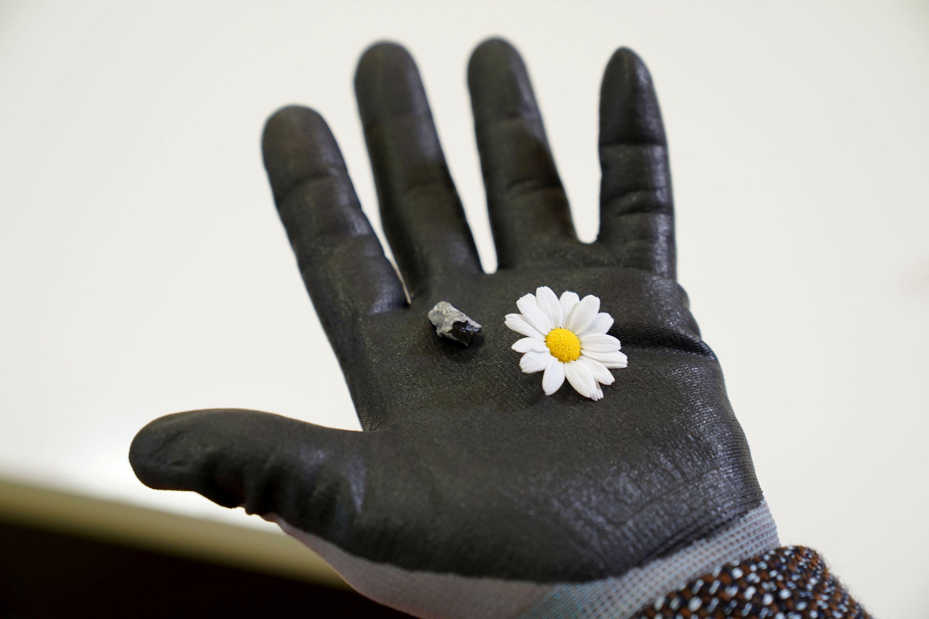 22 milyon yıllık yolculuk Türkiye’de son buldu