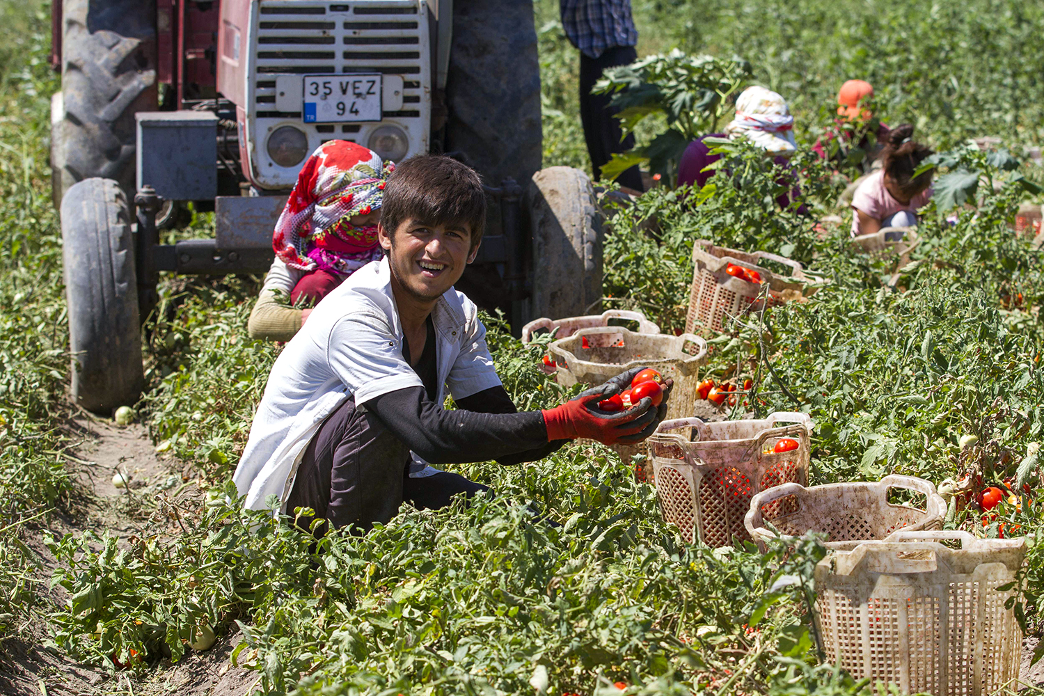 İZMİR TARIMININ KALBİ BAKIRÇAY MERCEK ALTINDA