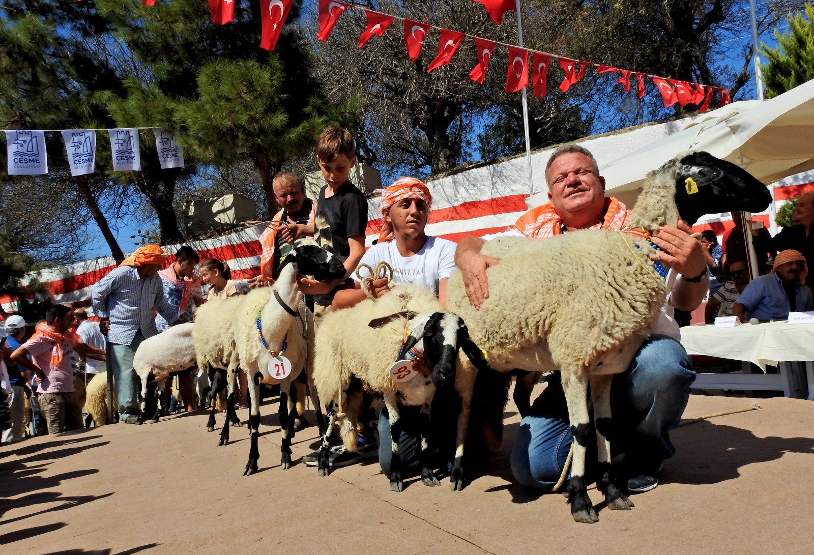 5. OVACIK TARIM VE SAKIZ KOYUNU FESTİVALİ BAŞLIYOR