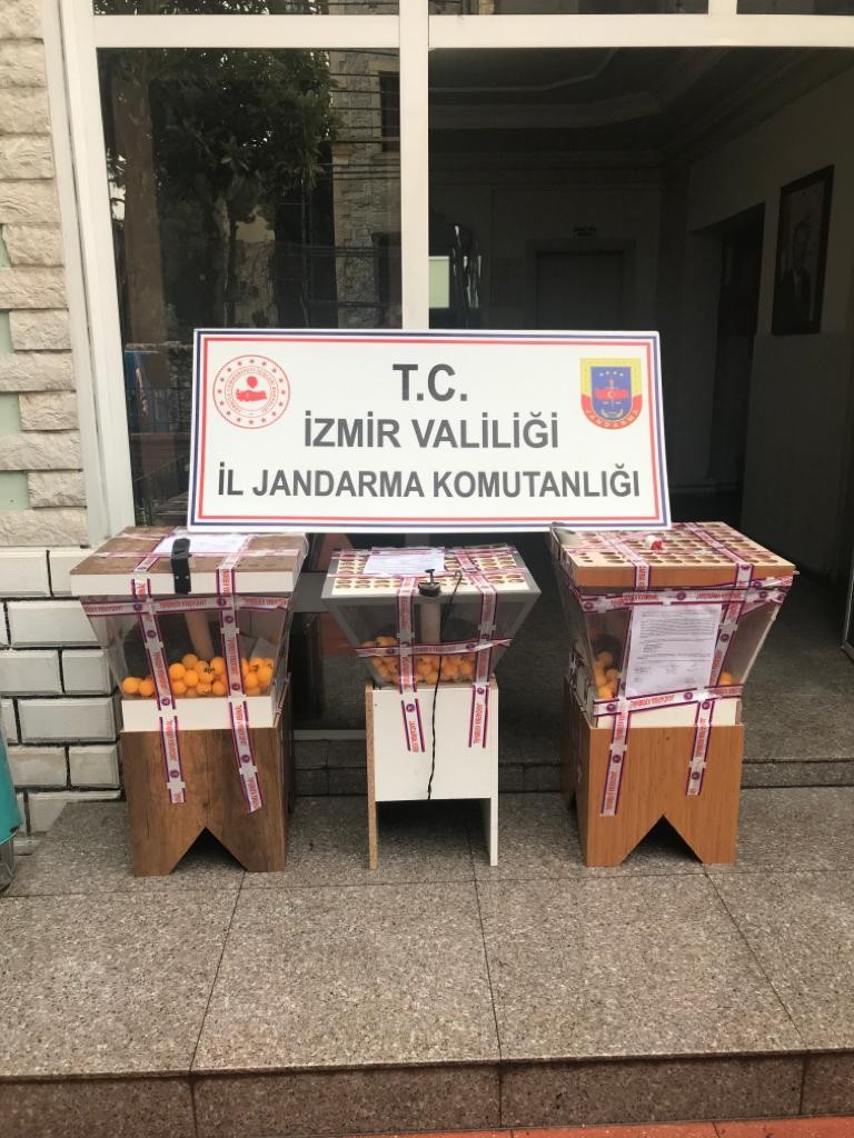 99 KİŞİ KUMAR OYNARKEN YAKALANDI
