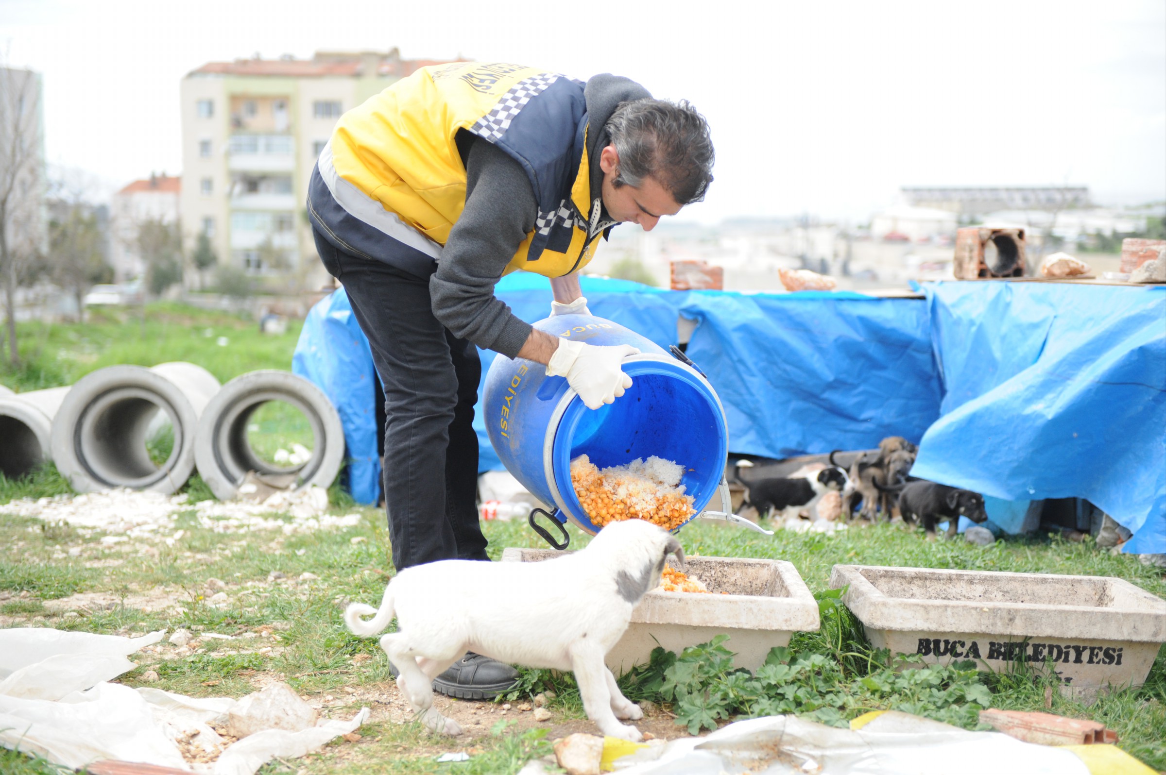 SOKAK HAYVANLARINA TIBBİ DESTEK
