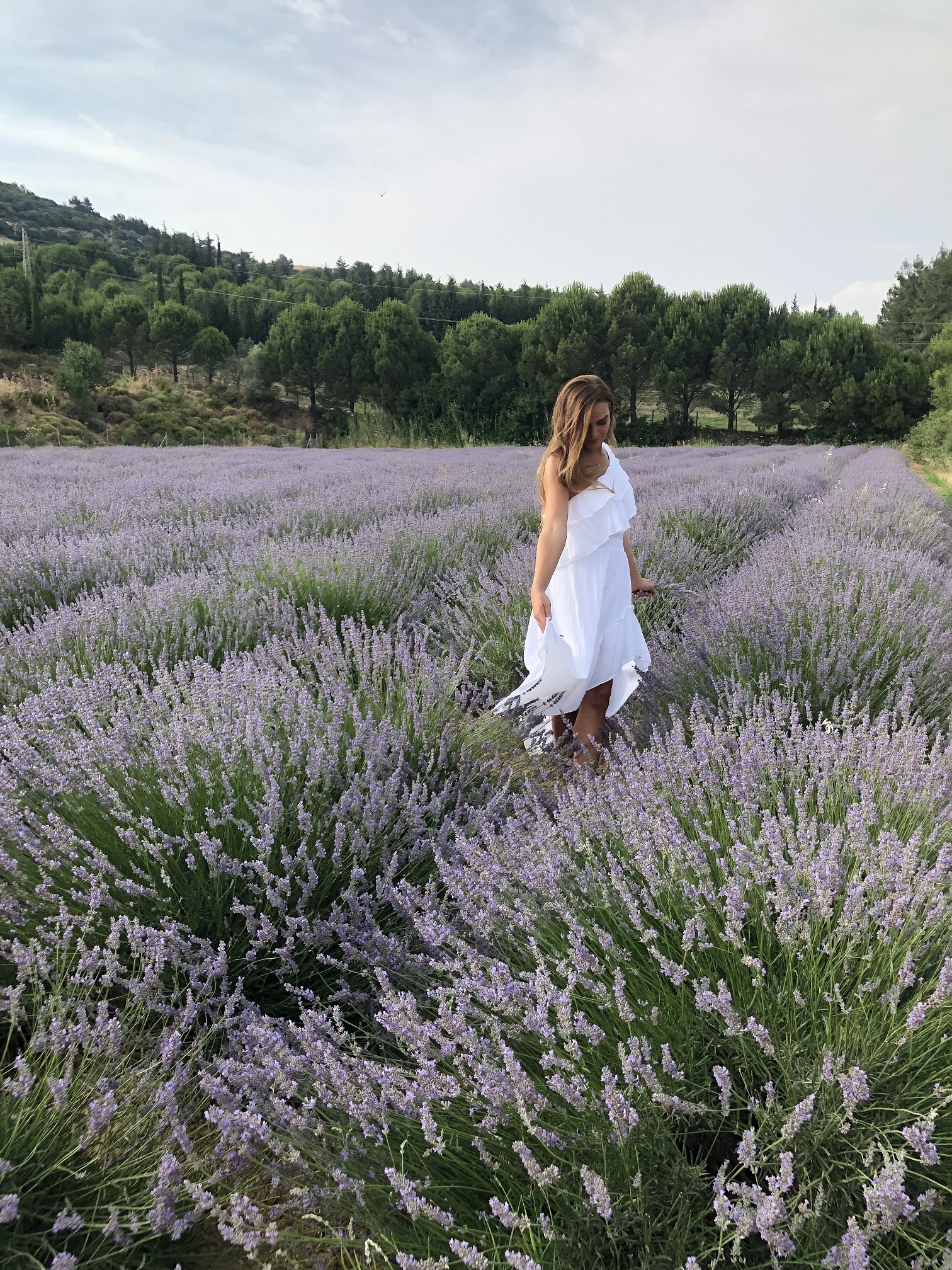 SEFERİHİSAR’DA MİS GİBİ ŞENLİK BAŞLIYOR