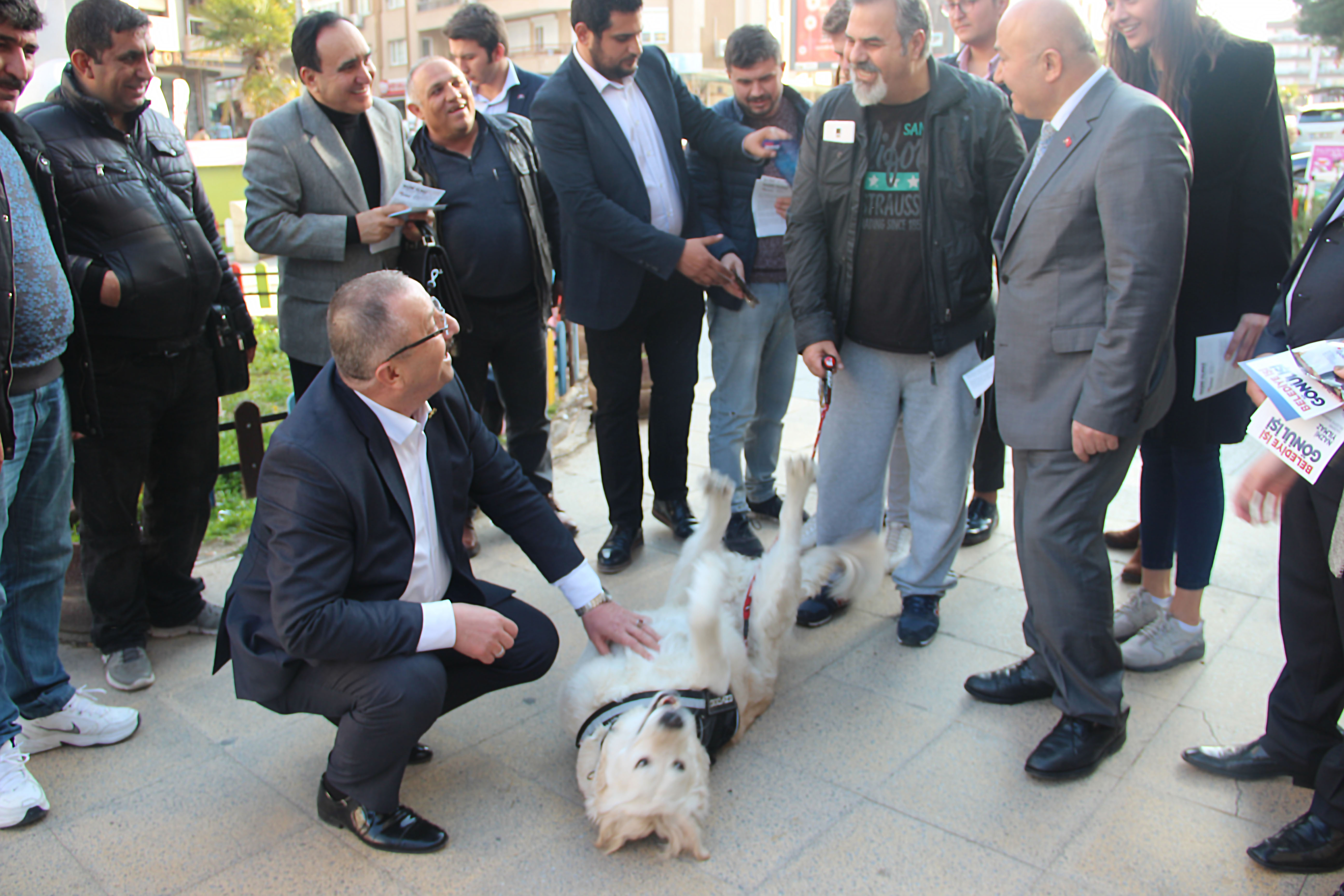 YILMAZ SOKAK HAYVANLARININ GÜVENCESİYİZ