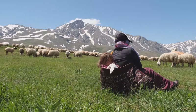 Minik Şirin’in kuzuyla aynı bohçada yolculuğu