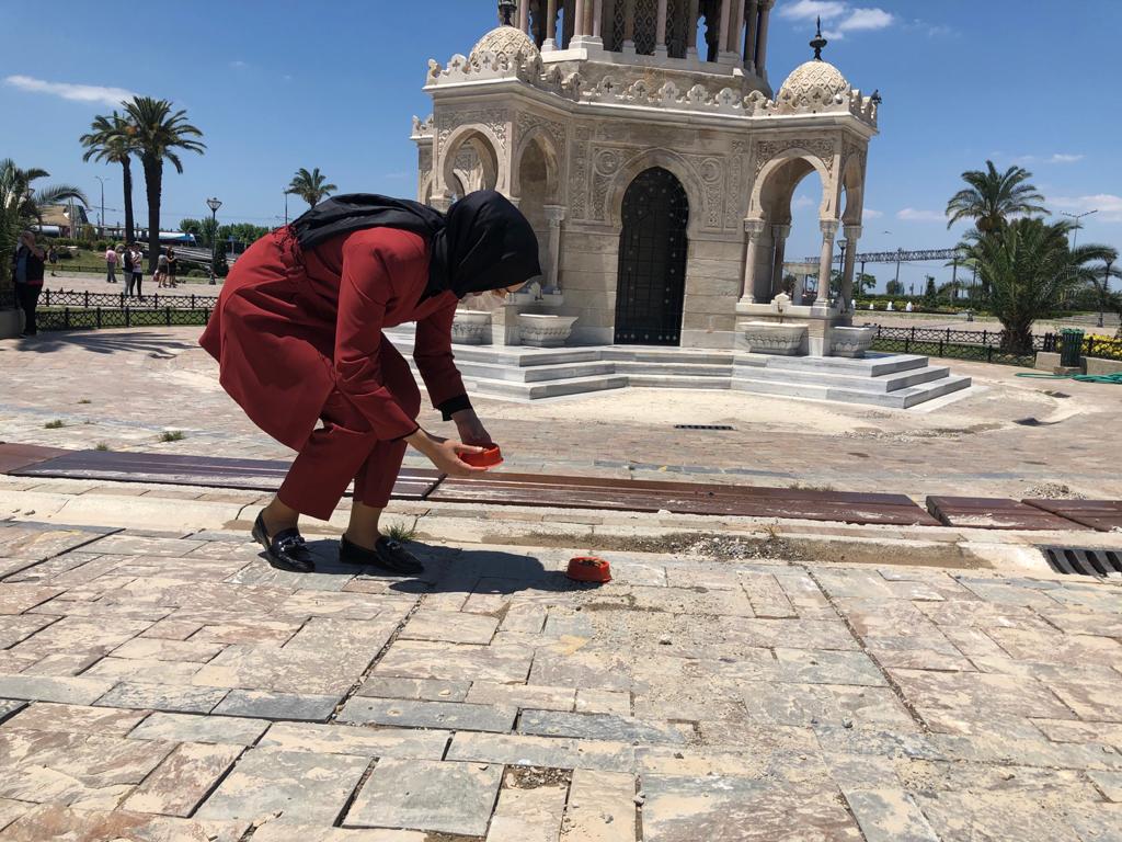 AK KADIN İZMİR'DEN, SOKAK HAYVANLARI İÇİN ÇAĞRI