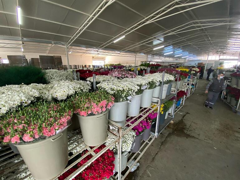 SEVGİLİLER GÜNÜ ÖNCESİ ÇİÇEK MEZATLARI HAREKETLENDİ