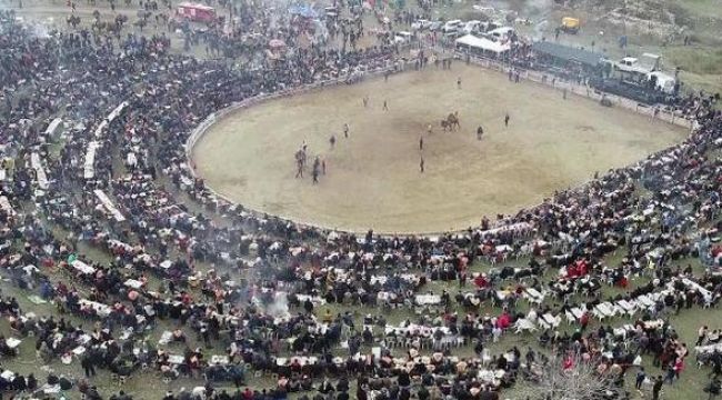 SELÇUK'ta DEVE GÜREŞİ HEYECANI
