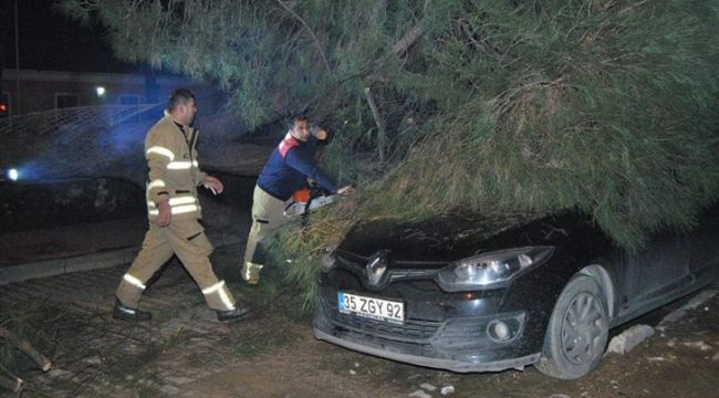 AĞAÇ OTOMOBİLİN ÜZERİNE DEVRİLDİ
