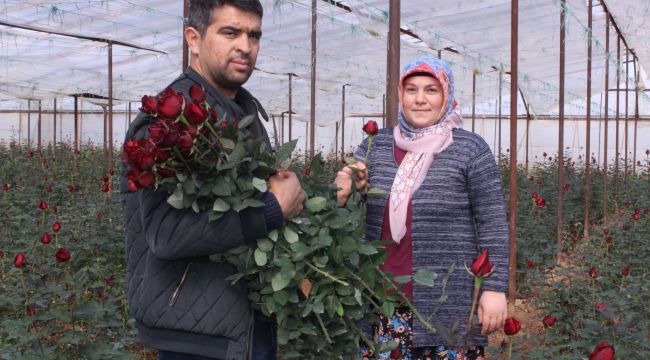 Güllerin içinde Sevgililer Günü kutlaması