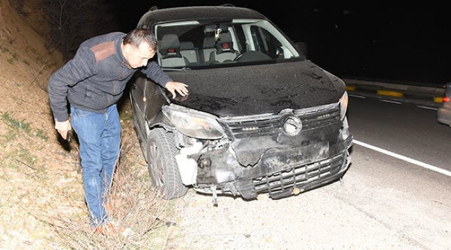 Domuz sürüsü kazaya neden oldu