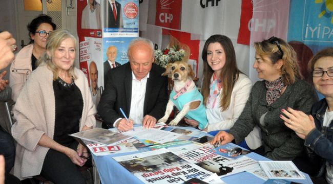 Dr. YAVUZYILMAZ’DAN CAN DOSTLARA SÖZ