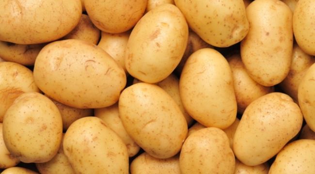 Patates ithalatında da gümrük vergisi sıfırlandı