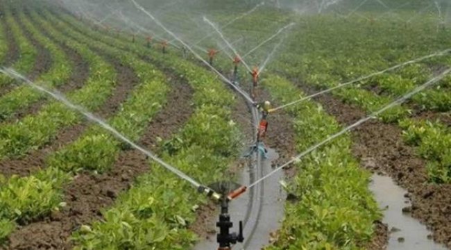 Şubat ayı tarım ÜFE verileri açıklandı
