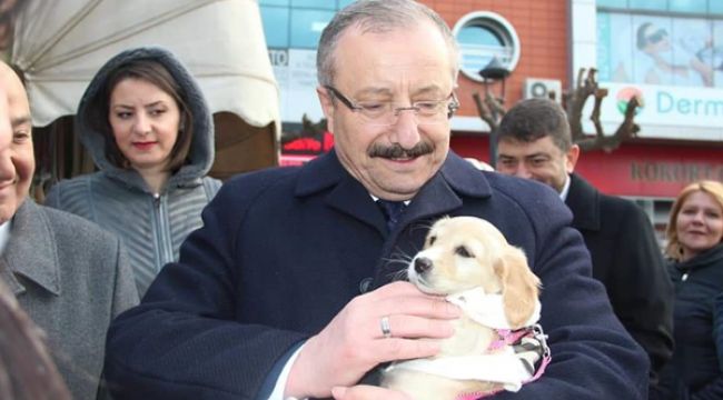 YILMAZ SOKAK HAYVANLARININ GÜVENCESİYİZ
