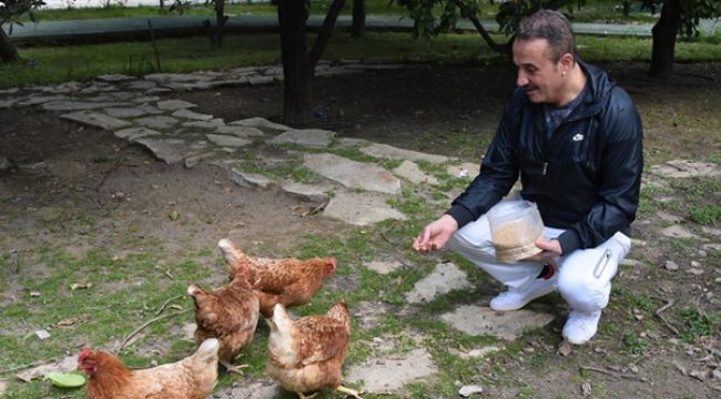 AK PARTİLİ ŞENGÜL'ÜN YENİ HAYATI