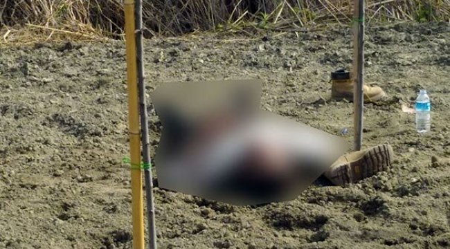 Bahçeye gittiklerinde korkunç manzarayla karşılaştılar