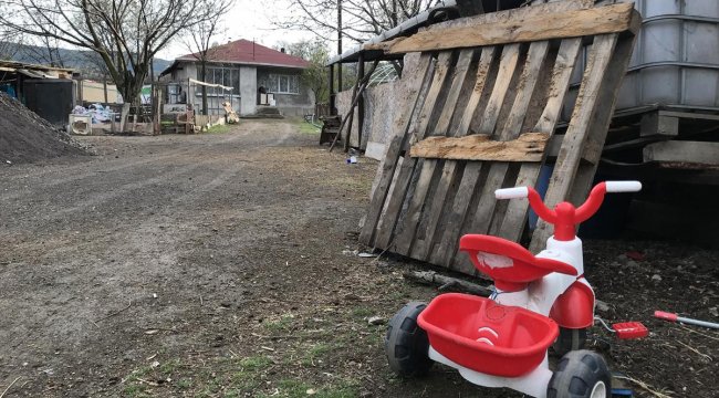 Bebeğindeki keneyi çıkaran baba hayatını kaybetti