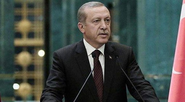 Cumhurbaşkanı Erdoğan: Hayvan hakları yasasını bir an önce çıkarın