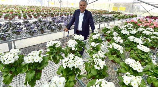 ESKİ BAŞKANLAR ŞİMDİ NE YAPACAK?