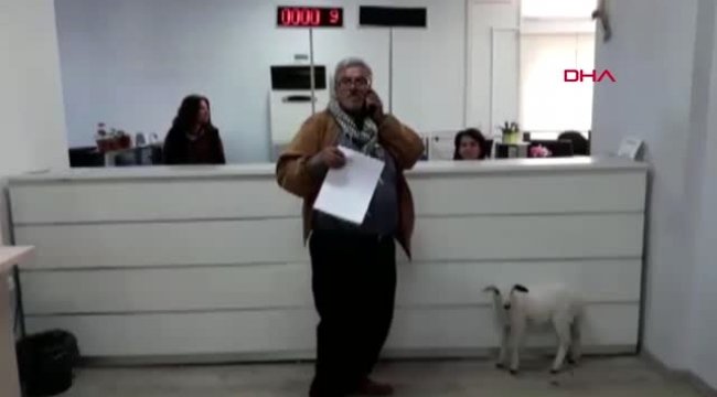 İZMİR VERGİ DAİRESİNE KUZUSUYLA GELDİ