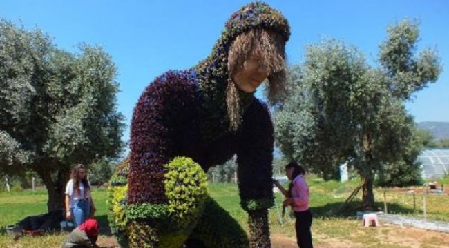 MİS KOKULU FESTİVAL BAŞLIYOR