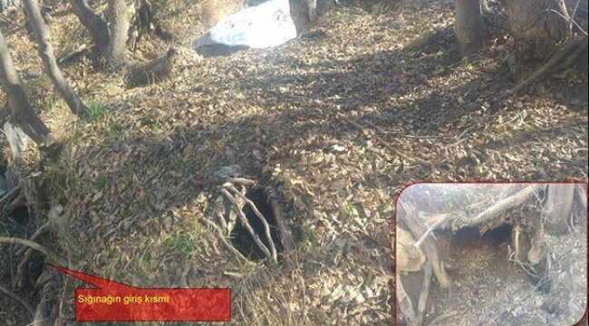 PKK'ya ağır darbe! Hepsi imha edildi