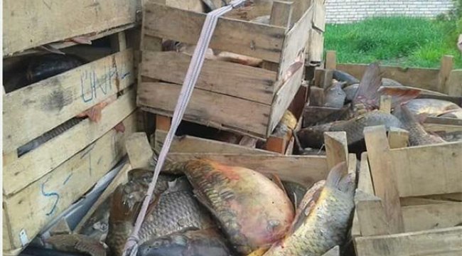 Şüphe üzerine durdurulan araçta çıktı! Neredeyse 1 ton...