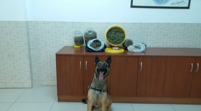UYUŞTURUCU ZANLISI GÖZALTINA ALINDI