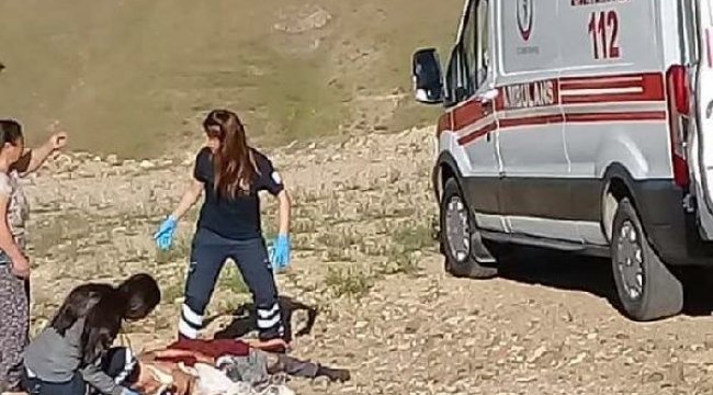 82 yaşında kadın köpek saldırısı yüzünden öldü