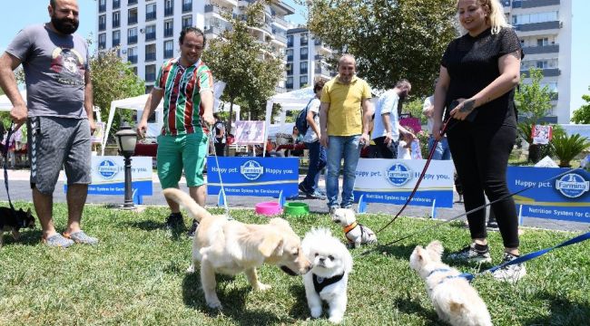 ÇİĞLİ'DE HAYVANSEVERLER PATİLİ DOSTLARIYLA BULUŞTU