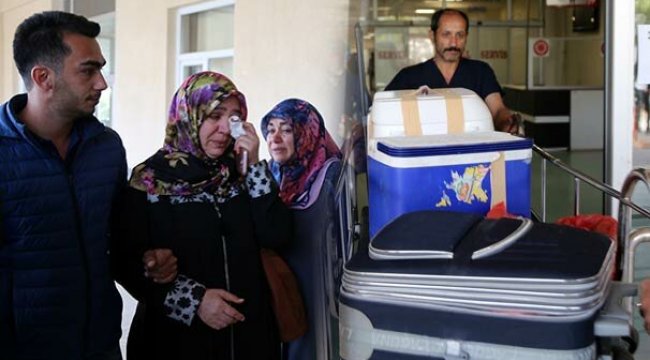 İlham Güler'in ailesi , Güler'in karaciğerini bağışladı