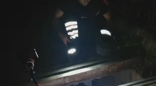 Mazgala sıkışan yavru kediyi itfaiye kurtardı