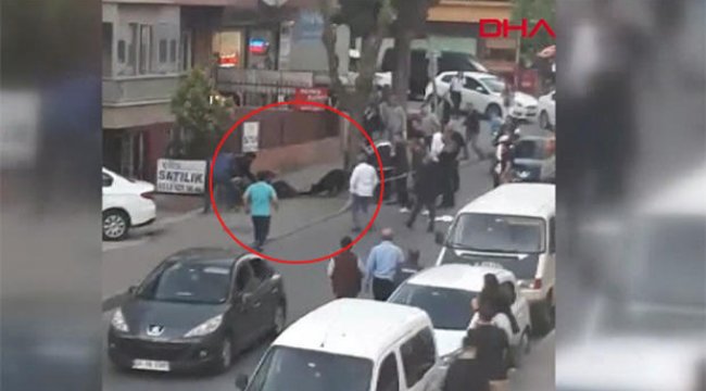 'Narkozlu' köpek dehşeti: Yaralılar var...