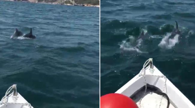 YUNUSLAR BALIKÇI TEKNESİYLE YARIŞTI
