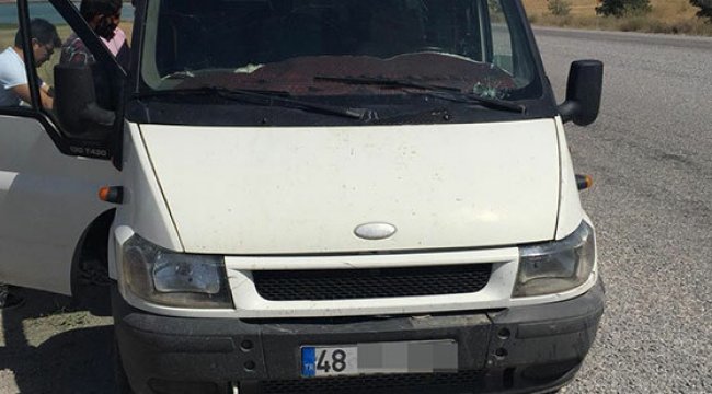 29 kaçak göçmen yakalandı