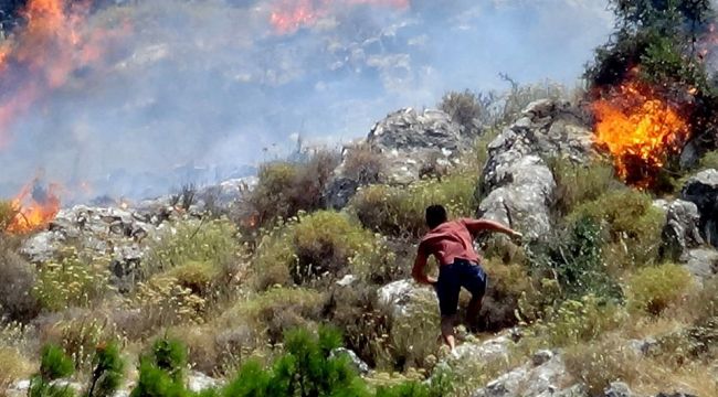 Balıkesir'de orman yangını: 10 Hektarlık alan zarar gördü