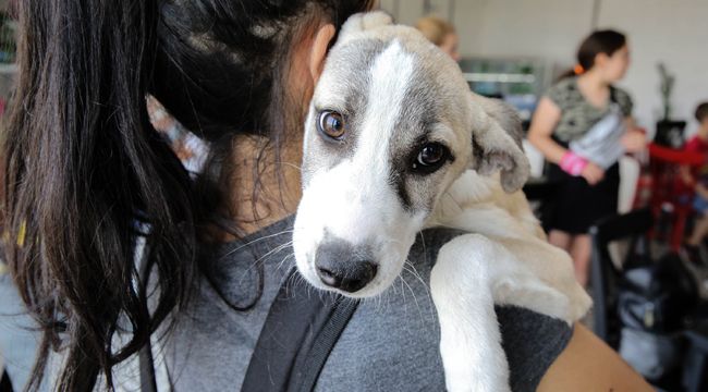 BUCA’DA MASUM CANLARA SICAK YUVA