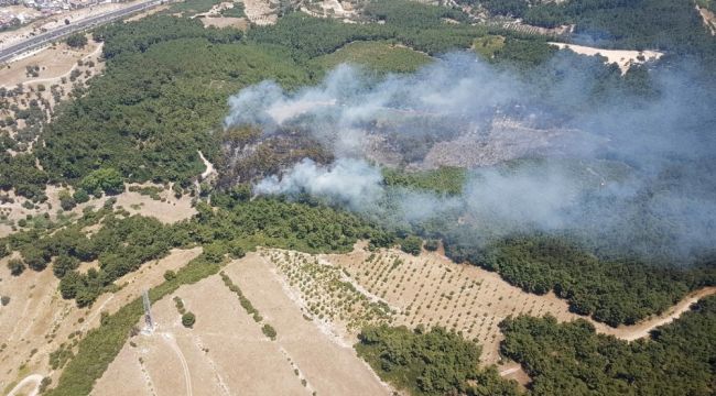Buca'daki orman yangını kontrol altında