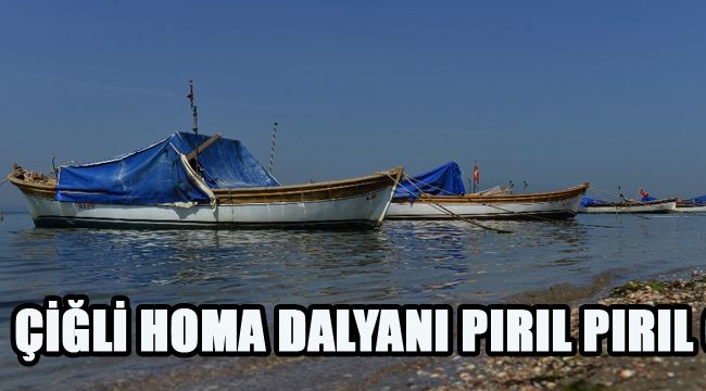 ÇİĞLİ HOMA DALYANI PIRIL PIRIL OLACAK