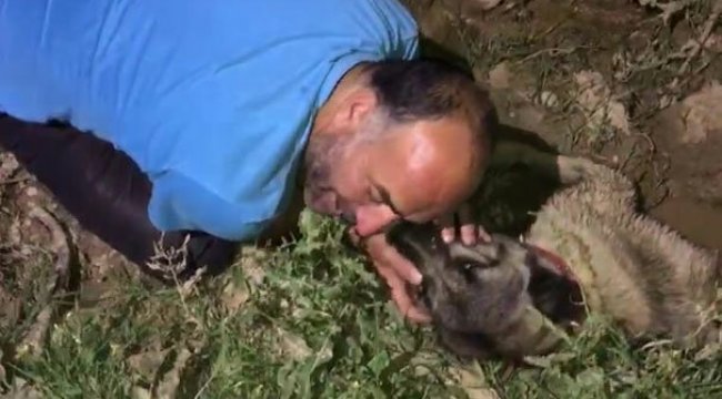 Köpeğinin başından bir an olsun ayrılmadı, gözyaşlarına boğuldu