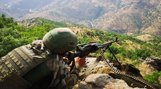Şırnak'ta 2 terörist etkisiz hale getirildi