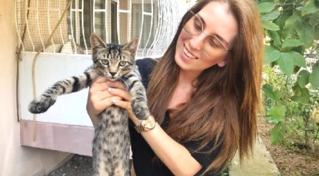 Sokak sokak gezip, kedilere işkence yapanı arıyor
