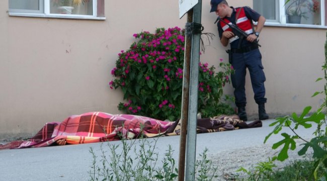 65 yaşındaki adam 2 kişiyi öldürdü