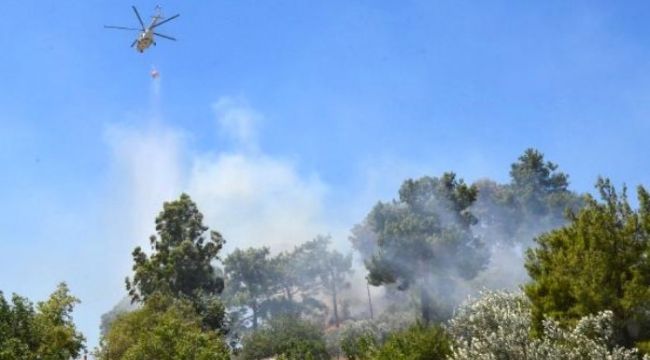 Antalya'da orman yangını