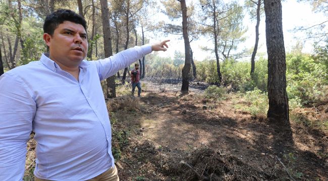 BAŞKAN KILIÇ'TAN UYARI: ORMANLARIMIZI YANGINLARLA HEBA ETMEYELİM